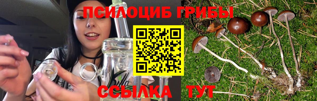 Псилоцибиновые грибы ЛСД  Вход с VPN  Наро-Фоминск 